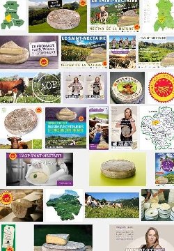 Saint-Nectaire (aoc-aop)